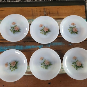 ARCOPAL 6 Dessertborden collectie Roze rozen - vintage design Gemaakt in Frankrijk jaren 70