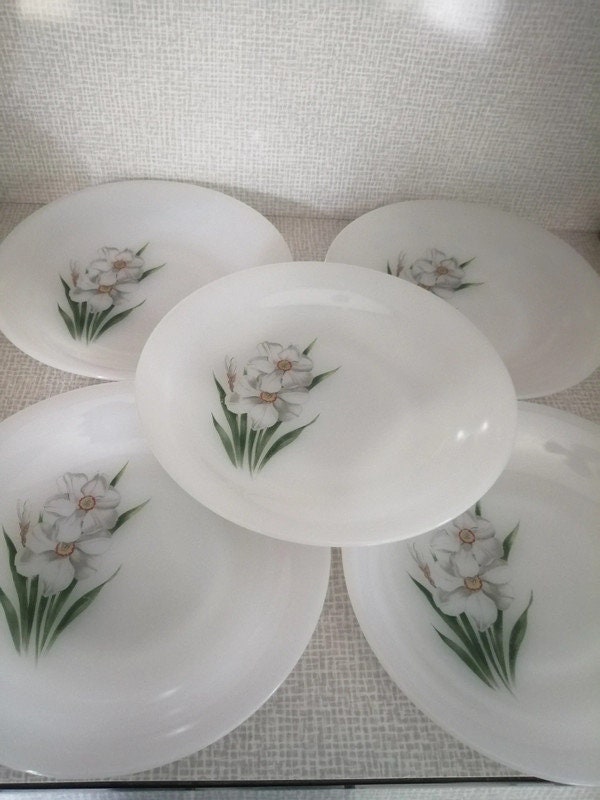 Plat creux Arcopal - Camille et Paulette