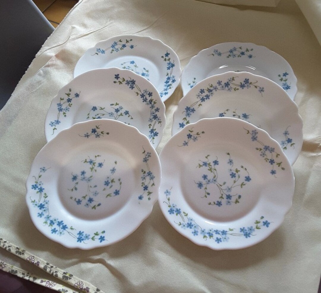 Assiette Plate Arcopal Veronica - Décor Myosotis - Blanc - Occasion Très Bon état