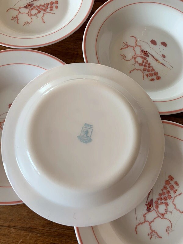 Lot De 2 Assiettes Creuses Vintage Arcopal – Motif Champêtre Rose, Verre Opale, Années 80