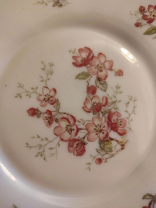 5 assiettes à dessert fleuries, Arcopal 1970s | Selency