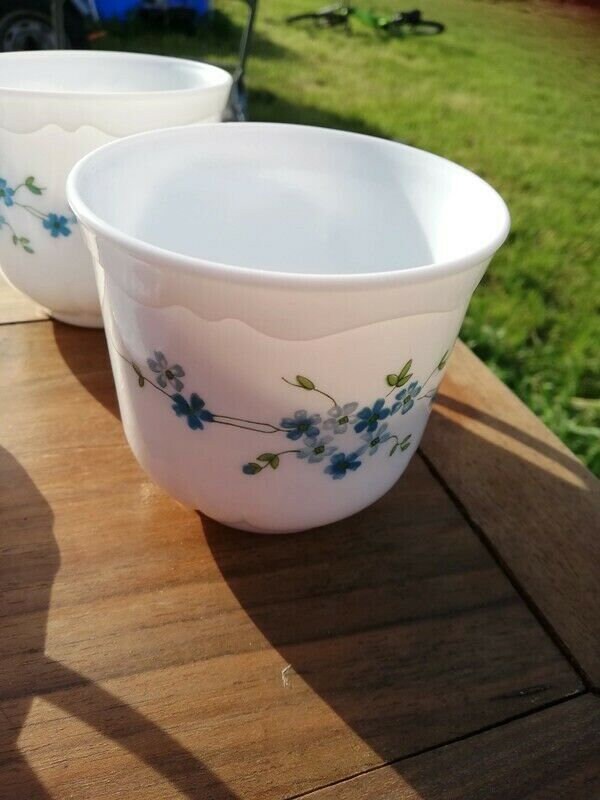 2 tasses ARCOPAL vintage, série Myosotis Veronica, France