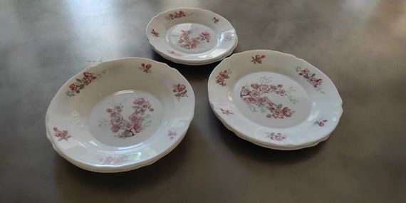 LOT DE 12 assiettes arcopal roses EUR 25,00 - PicClick FR