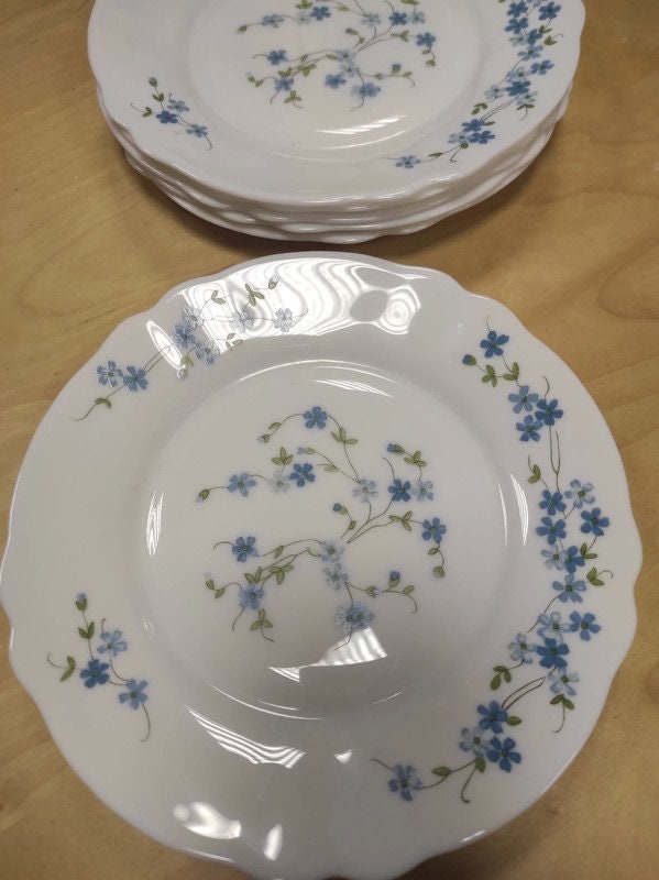 6 ASSIETTE DESSERT-VINTAGE-MYOSOTIS VERONICA ARCOPAL DESIGN