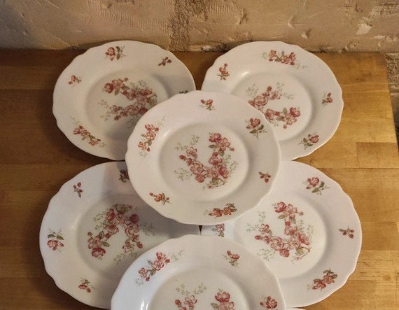 Lot De 6 Assiettes à Dessert Arcopal Vintage – Motif Roses Et églantines – Verre