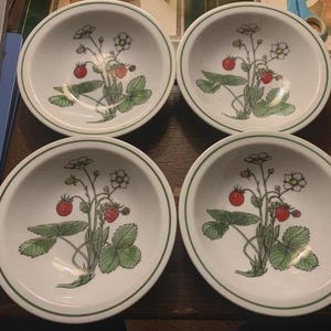 Ikea dessert bowl
