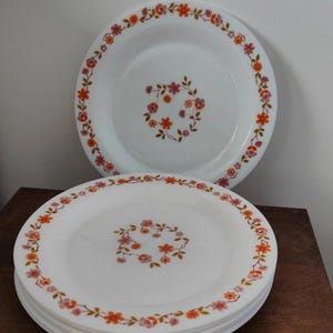 Puede incluir: Platos de cerámica blancos con un diseño floral. Los platos tienen un borde de flores naranjas y rosas y un diseño floral central. Los platos están apilados sobre una superficie de madera.