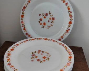 LBC E4/LUMINARC ARC 6 ASSIETTES A DESSERT EN OPALINE BLANCHE FRUIT