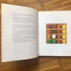 May include: A close-up of a photograph of a grid of 20 red, green, and yellow apples. The apples are arranged in a grid pattern, with each apple in its own square. The apples are all the same size and shape, and they are all arranged in a symmetrical pattern.
