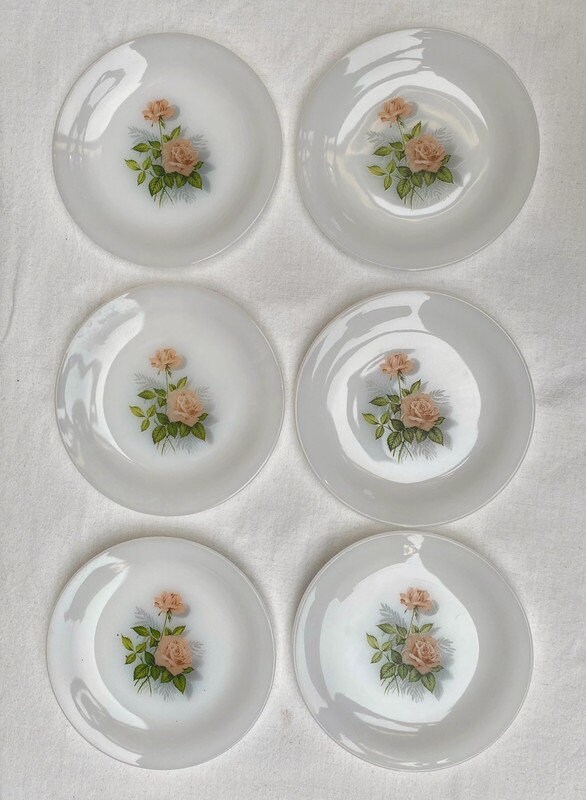 Lot de 6 assiettes à dessert Arcopal