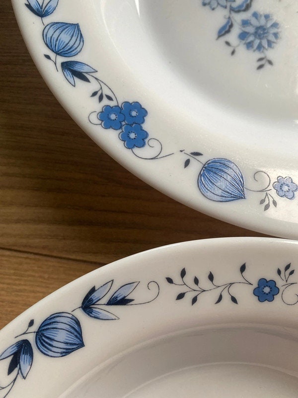 Lot De 6 Assiettes Plates Arcopal Vintage – Motif Oignons Bleus, France 1980