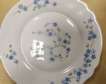 Lot De 6 Assiettes à Dessert Arcopal Modèle Myosotis Veronica – État Très Bon, Verre