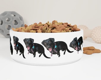 Pet Bowl Negro Comida para Perros Feliz