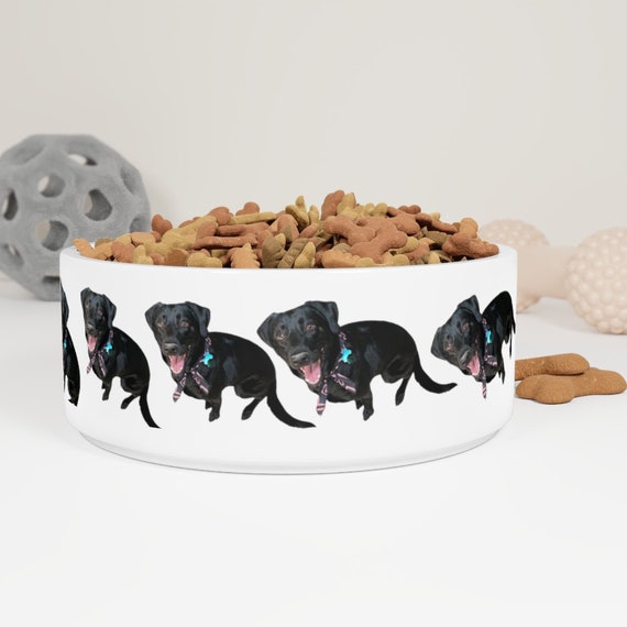 Pet Bowl Black Dog Food Happy 
