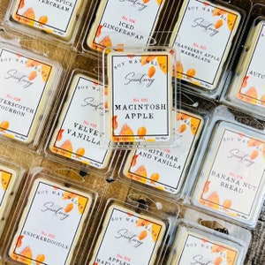 STRONG Scented Fall Wax Melts - Choose Your Scent - 13 Fall Fragrances To Pick From - Autumn Scented Soy Wax Bars - Wax Tarts - Perfect Gift