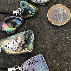 Phone Loop and Bag charms Natural Paua Shell _191_Take the beach along_3 image 9