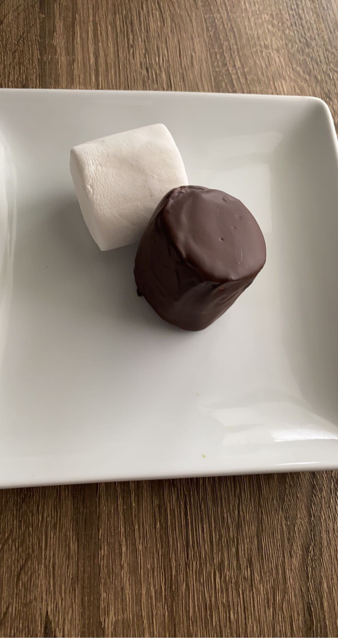 Milk Chocolate Covered Marshmallows Jumbo. Etsy
