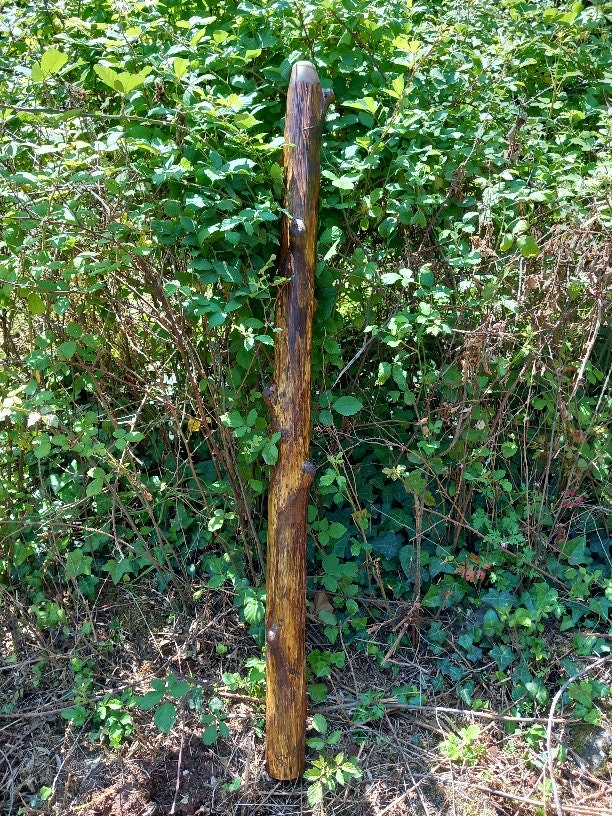 Agave Didgeridoo Etsy Finland