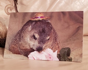 Groundhog Clara Easter Card