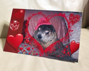 Pet Groundhog Clara Valentine's Day Card