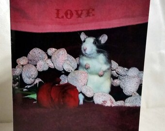 Pet Rat Darcy Valentine's Day Card