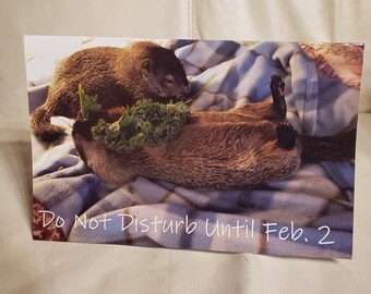 Cleo and Caleb Groundhog Day Card