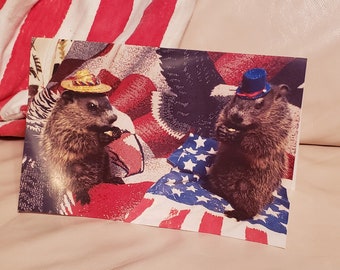 Groundhogs Cleo and Caleb 4th of July Card