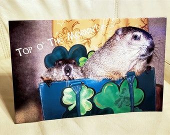Groundhog St Patrick's Day Card