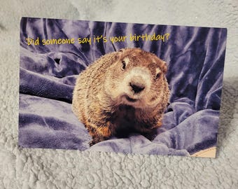Cleo and Alfie Birthday Card