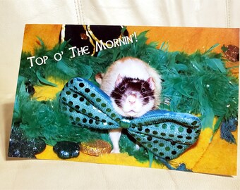 Pet Rat Rickman St Patrick's Day Card