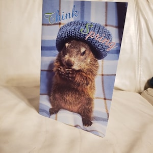 Baby Caleb Groundhog Day Card