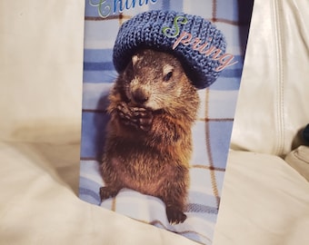 Baby Caleb Groundhog Day Card