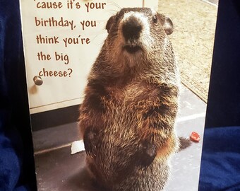 Cleo and Clara Birthday Card