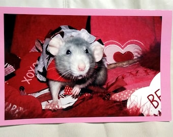 Pet Rat Ruby Valentine's Day Card