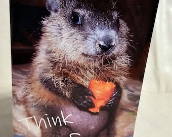 Baby Maude Groundhog Day Card