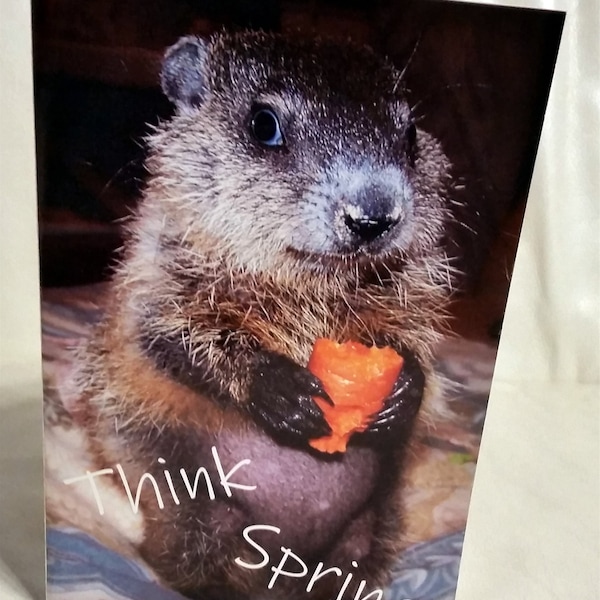 Baby Maude Groundhog Day Card