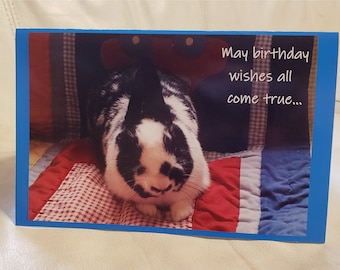 Oreo and Juniper Bunny Birthday Card