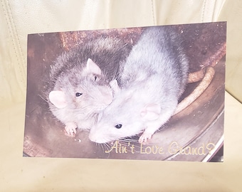 Pet Rats Noah and Lily Anniversary Card