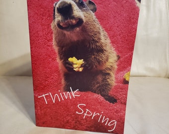 Baby Cleo Groundhog Day Card