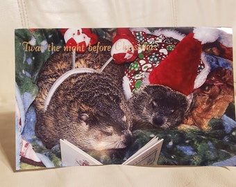 Pet Groundhogs Clara and Maude Christmas Card