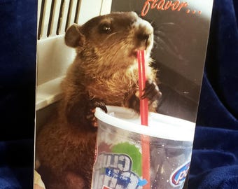 Groundhogs Moses and Maude Birthday Card