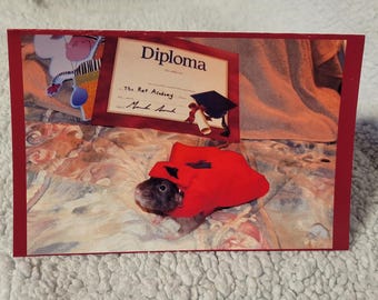 Pet rat Spruce Graduation Card