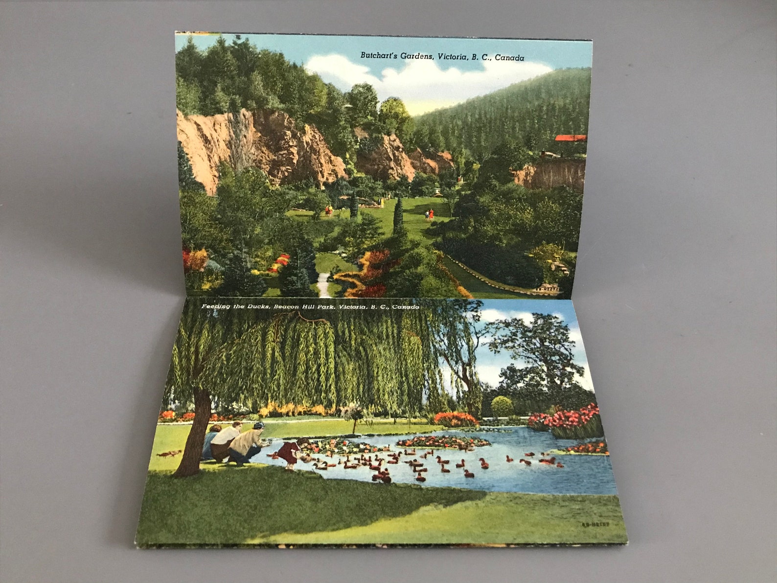 Vintage British Columbia FoldOut Scenic Postcards / Canada / Etsy