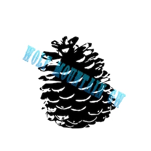 Pine Cone digital download PNG SVG JPG