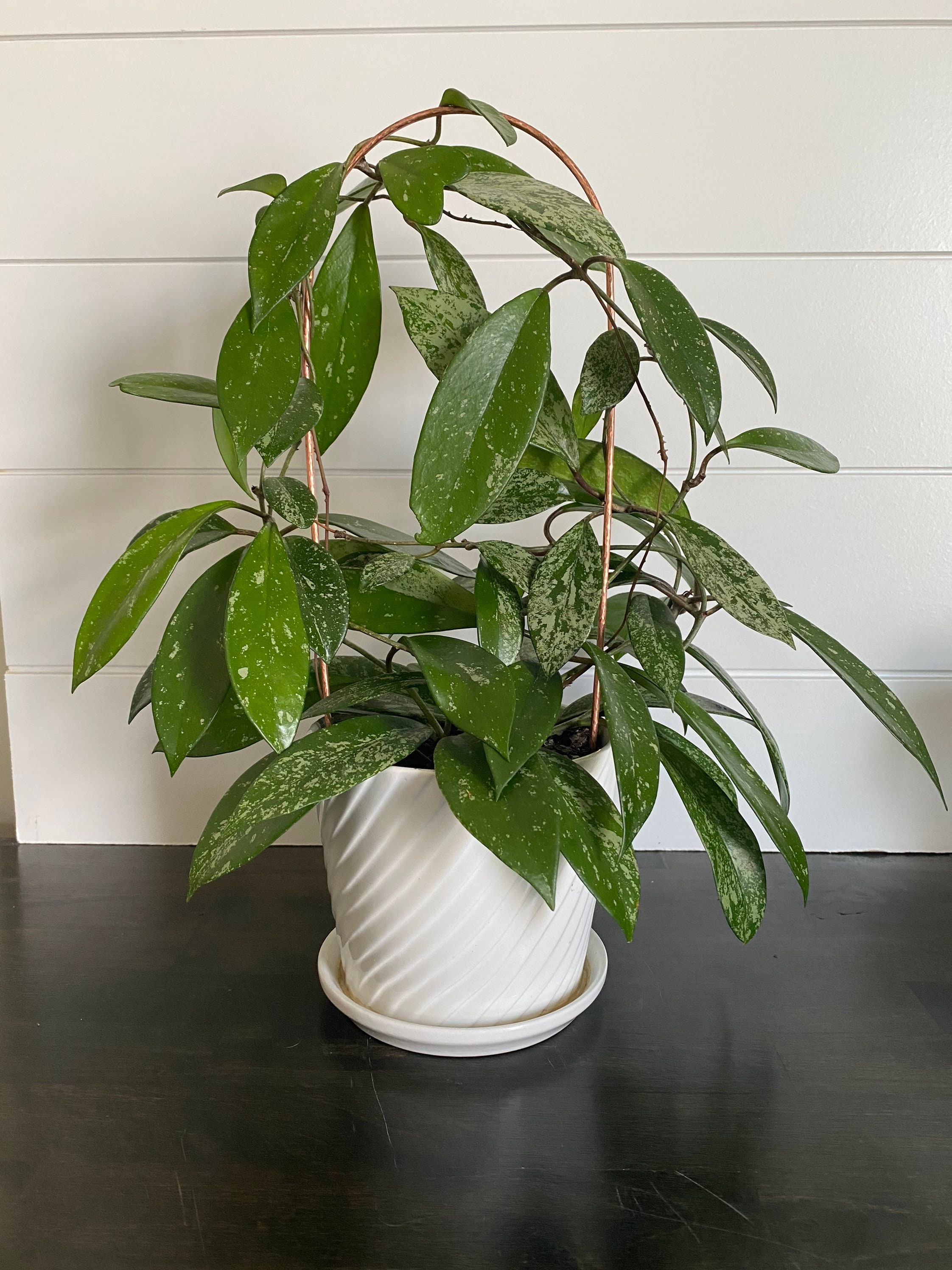 Hand Hammered Copper Arch Houseplant Trellis - Available in 3 Sizes (…