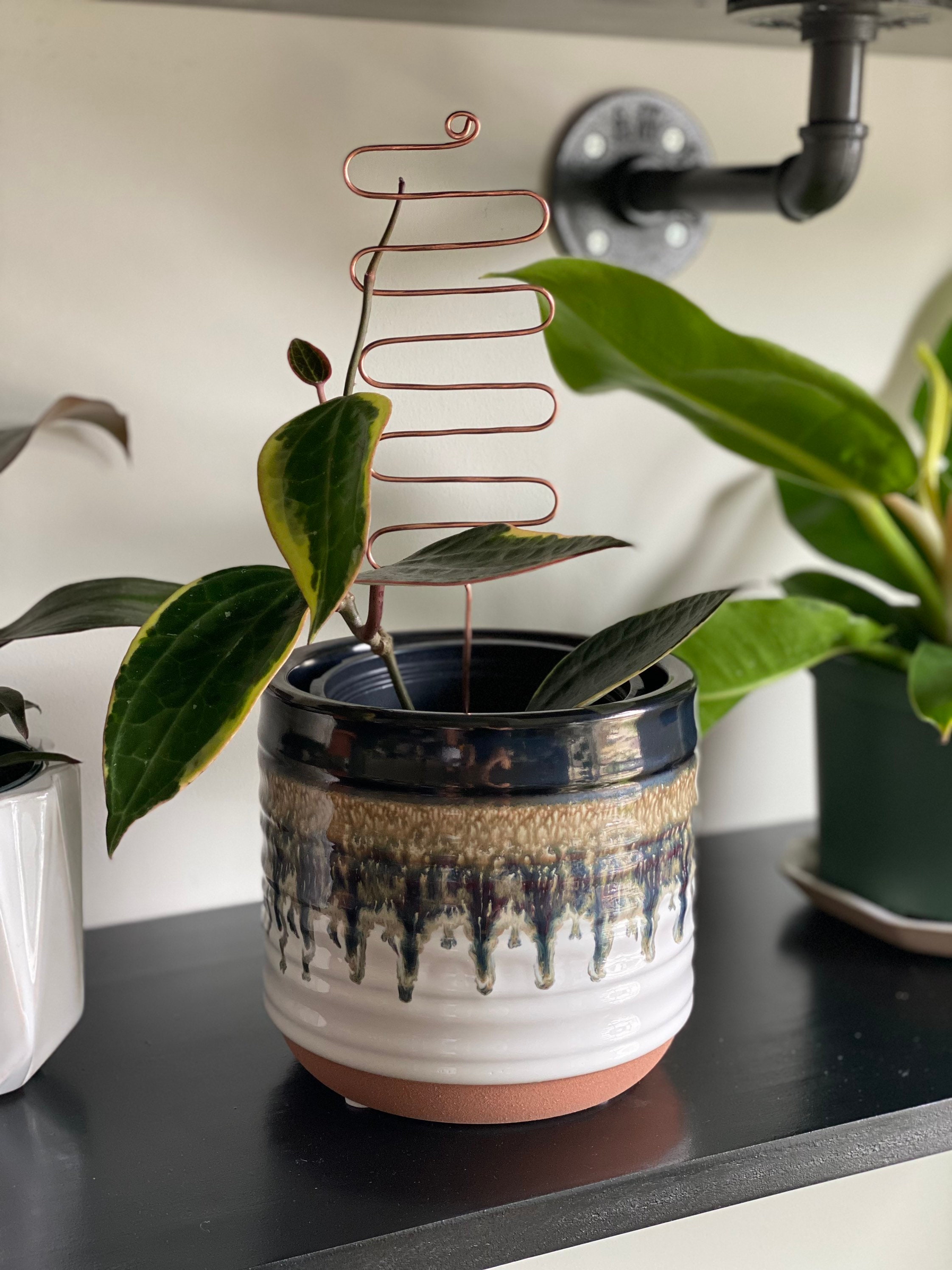 Copper Winding Houseplant Trellis — Available Sleek or Hand Hammered