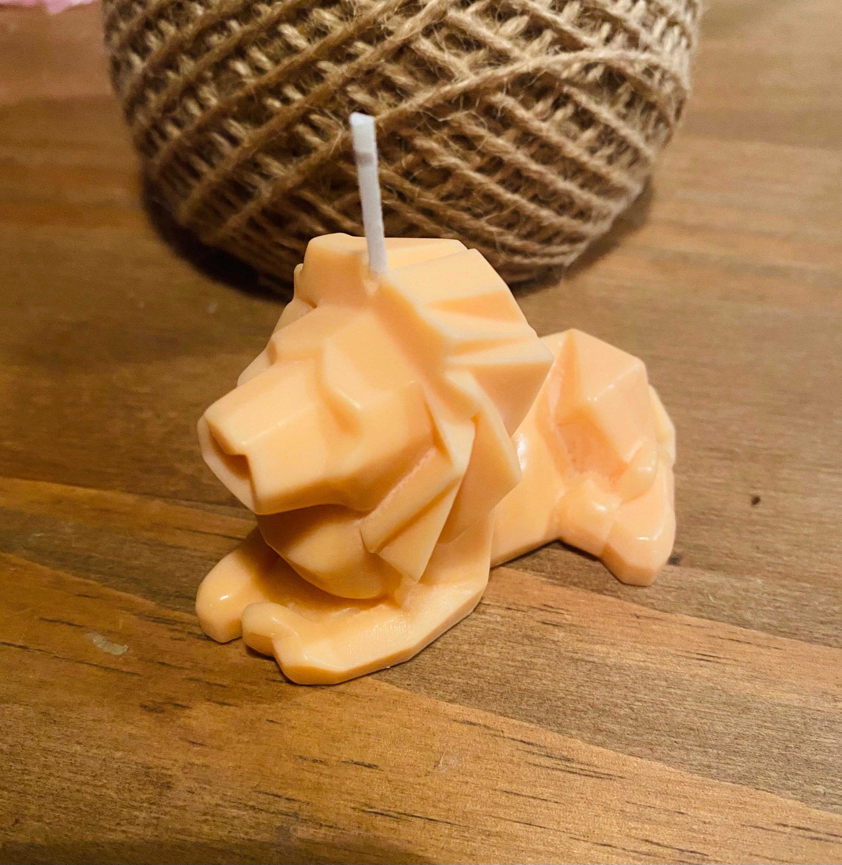 Lion Candle / Geometric Lion Candle / Home Decor / Soy Wax Etsy