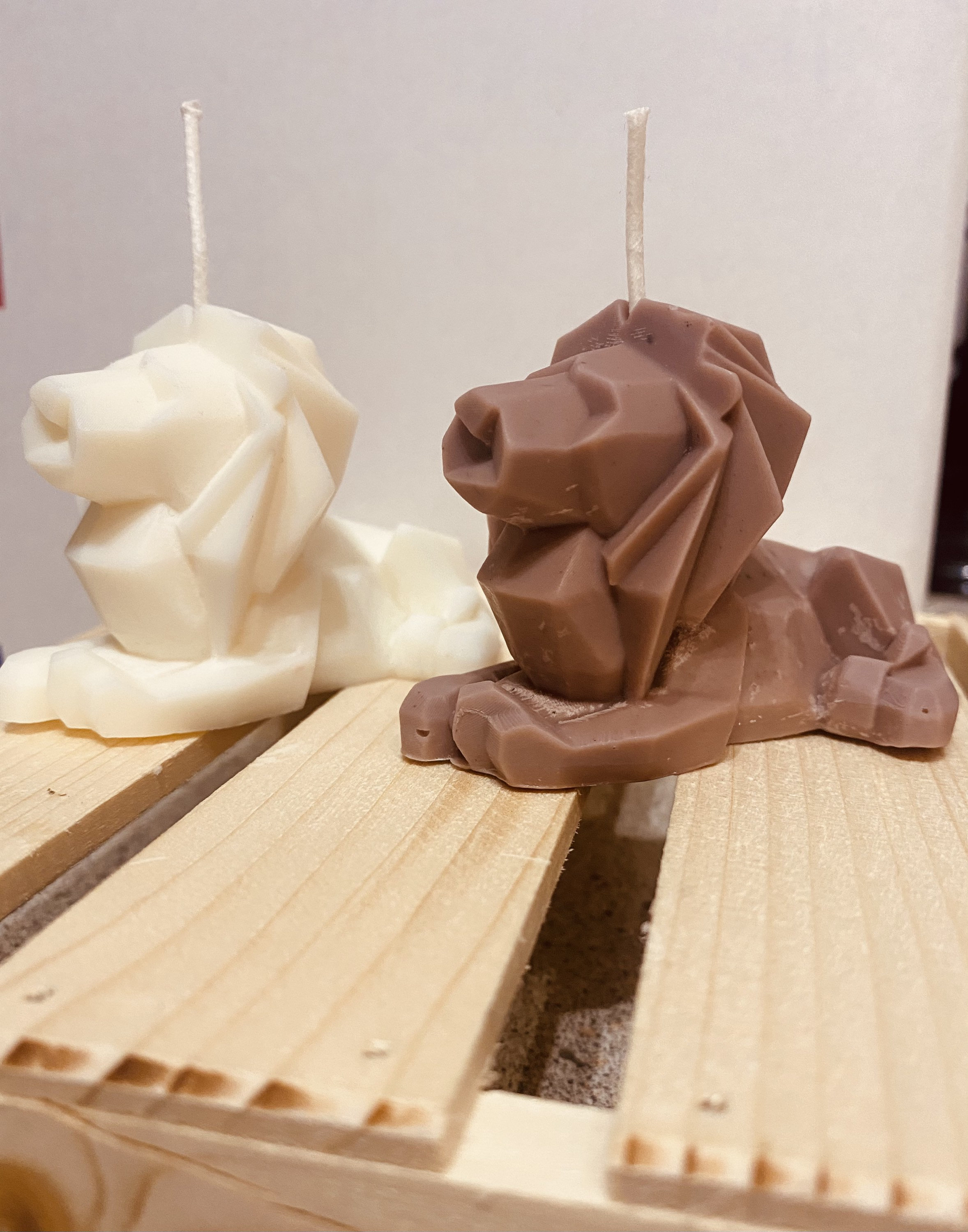 Lion Candle / Geometric Lion Candle / Home Decor / Soy Wax Etsy