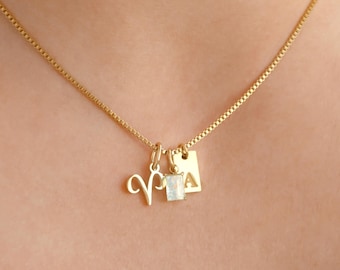 Personalized Charm Necklace - Zodiac Birthstone and Initial Pendant - Waterproof Stainless Steel