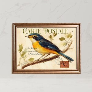 Vintage-style French postcard, Bird Postcard for framing, Rock-Thrush Bird, Flowers, PRINTABLE Digital Download